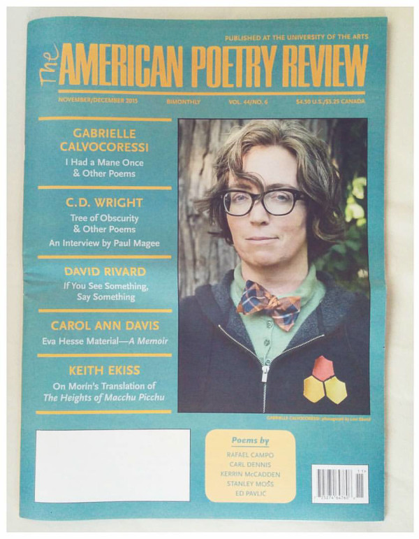 American Poetry Review-1