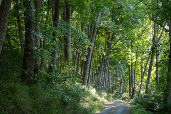 delaware watergap blog post-7
